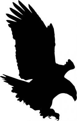 Bald Eagle file .cdr and .dxf free vector download for Laser cut plasma