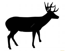 the deer has a moose file .cdr and .dxf free vector download for Laser cut plasma