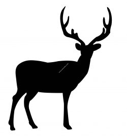 Deer Standing file .cdr and .dxf free vector download for Laser cut plasma