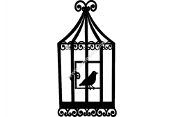 Bird Cage 2