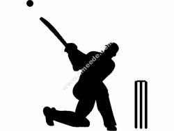 Cricket Silhouette