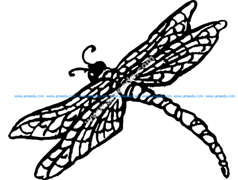 Dragonnfly