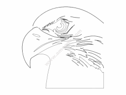 Eagle Head (1)
