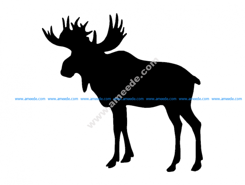 Elk (1)