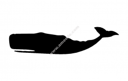Sperm whale silhouette