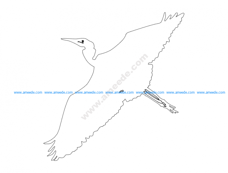 egret-flyby-outline-ba