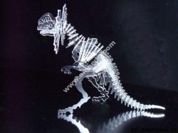 Ceratopsier acrylic