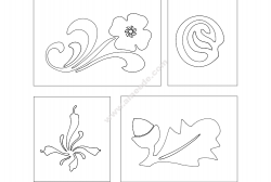 Flower Designs