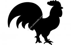 Rooster (4)