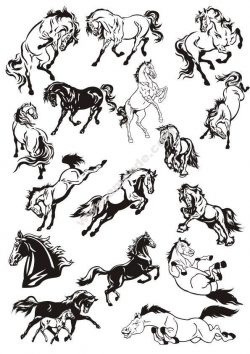 Horse Stickers Vector Art Collection