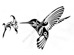 Hummingbird and Flower vector art