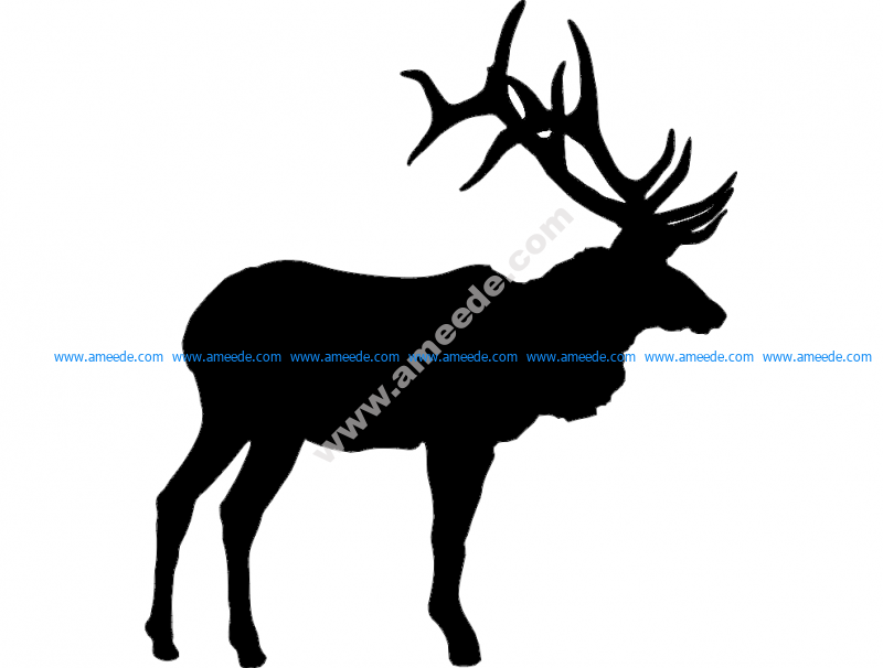 Large Bull Elk Olen