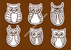 Sovy Owls