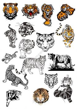 Tiger Vinyl Wall Stickers vectors