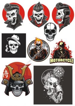 Vinyl Stickers Vinyl Skull Design Vectors