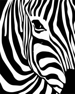 Zebra Print Vector