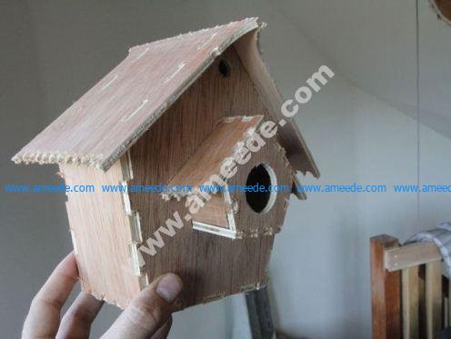 Safe Bird House
