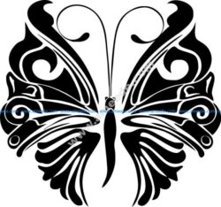 Butterfly wings monochrome vinta