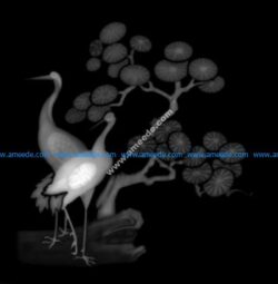 3d Grayscale Image Birds BMP
