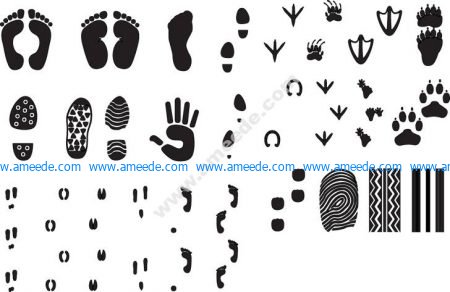 Footprint Silhouette