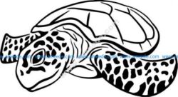 Sea turtle symbol of perseverance
