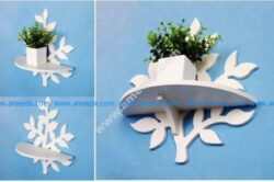potted bonsai