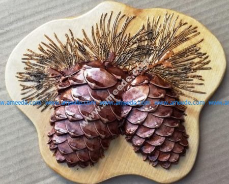 two pine cones