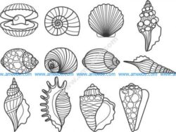 shells vector set