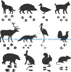 wild animals set
