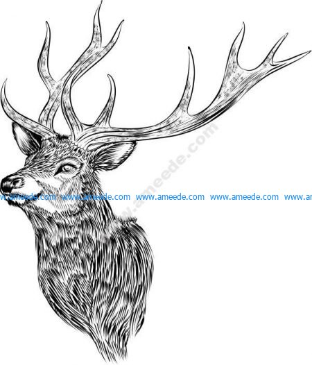 Deer vector art