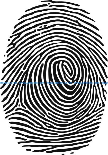 Fingerprint image