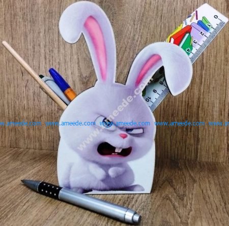 Rabbit pen case