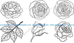 Rose pattern set