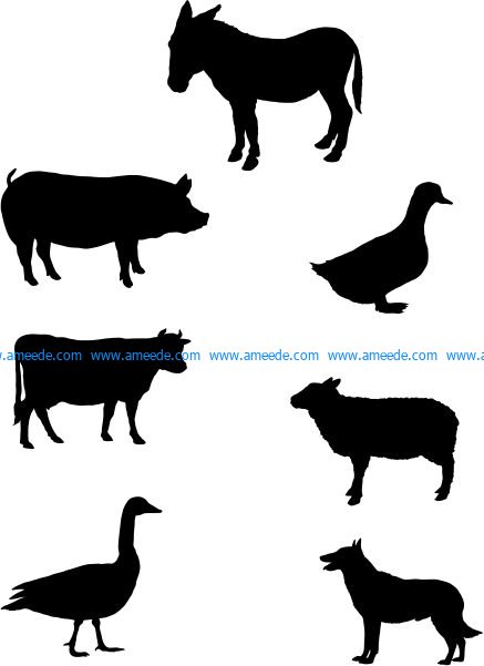 Sketches of animals commonly seen on farms