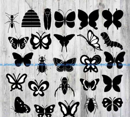 Vector insects