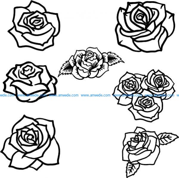 collection of beautiful rose flower patterns