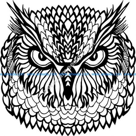 floral owl vector art