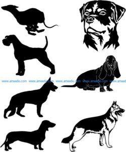 for those who have a hobby of dogs