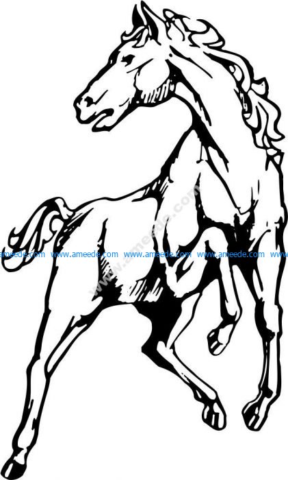 White horse vector