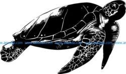 Old sea turtle file cdr and dxf free vector download for print or laser engraving machines