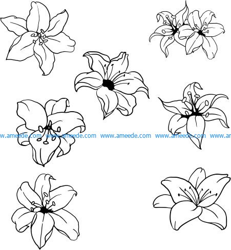 beautiful lilies file cdr and dxf free vector download for printers or laser engraving machines