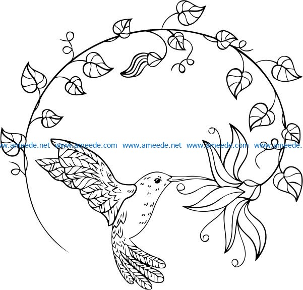 Hummingbirds suck nectar file cdr and dxf free vector download for print or laser engraving machines