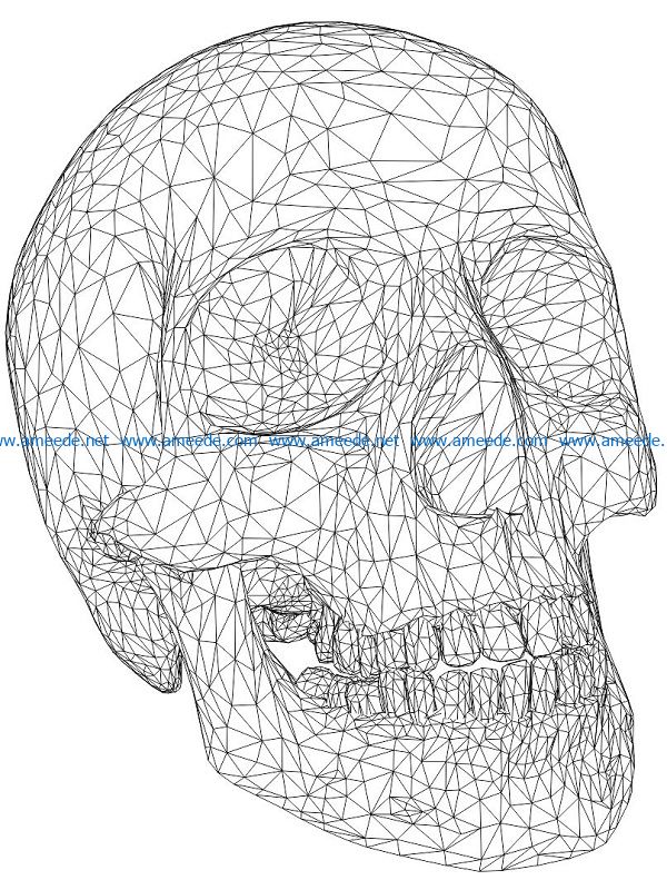 3D illusion led lamp human head bone free vector download for laser engraving machines