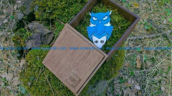 Owl owl in wooden box file cdr and dxf free vector download for Laser cut