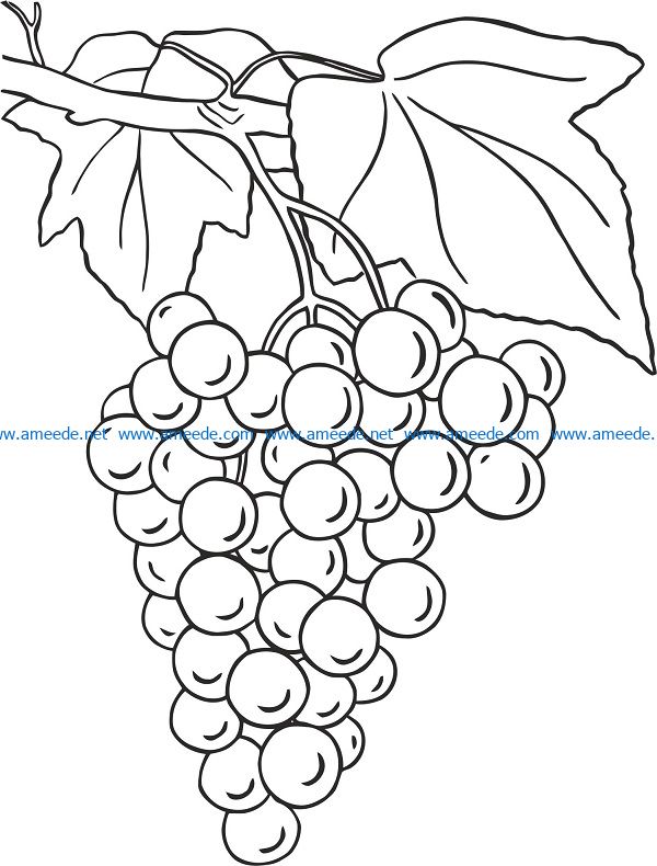 boss grape file cdr and dxf free vector download for print or laser engraving machines