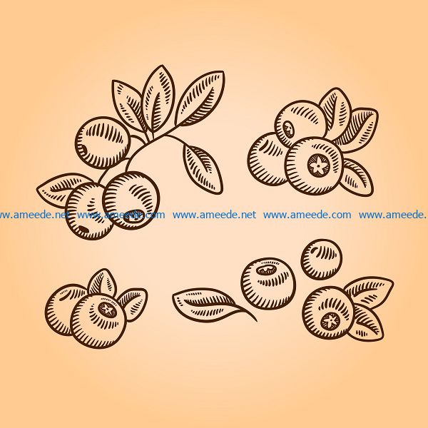 cranberries file cdr and dxf free vector download for print or laser engraving machines