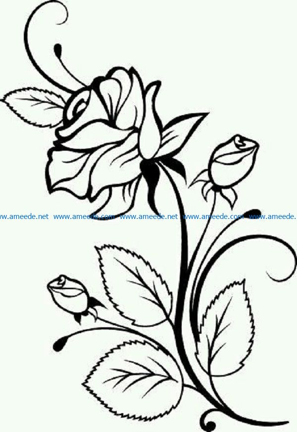 rose file cdr and dxf free vector download for print or laser engraving machines