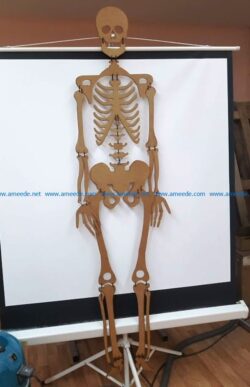 skeleton file cdr and dxf free vector download for Laser cut