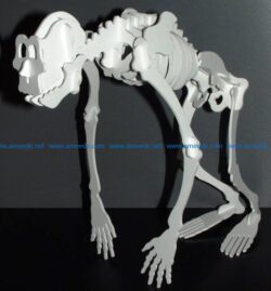 skeleton of the primate file cdr and dxf free vector download for Laser cut