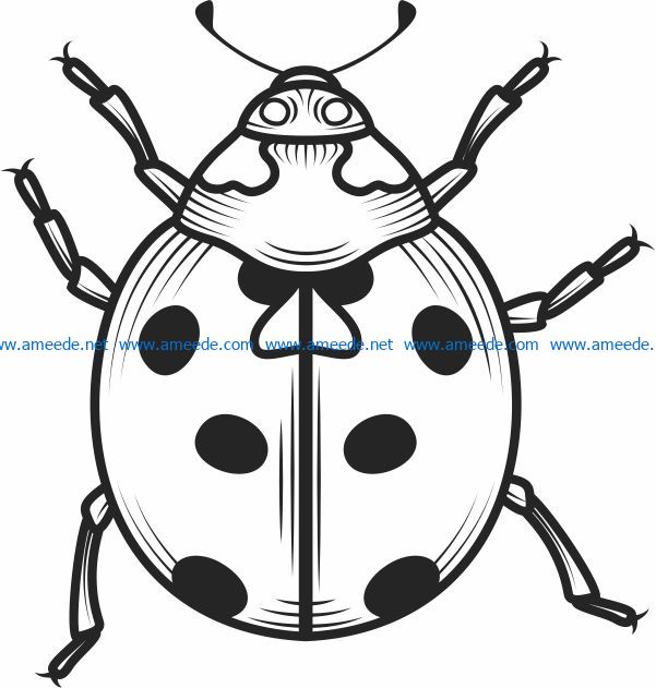 Maybug file cdr and dxf free vector download for laser engraving machines 5 Maybug file cdr and dxf free vector download for laser engraving machines